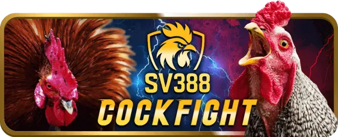 An toàn và bảo mật B99